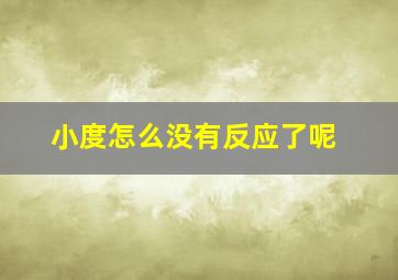 小度怎么没有反应了呢