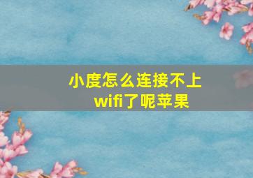 小度怎么连接不上wifi了呢苹果