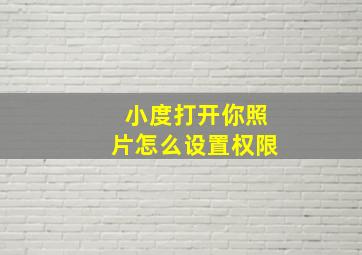 小度打开你照片怎么设置权限