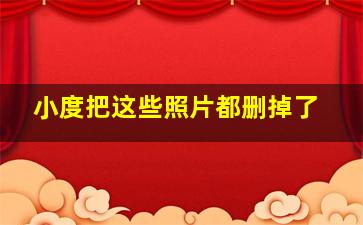 小度把这些照片都删掉了