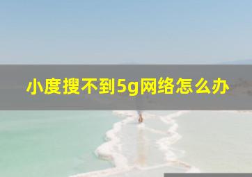 小度搜不到5g网络怎么办