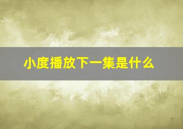 小度播放下一集是什么