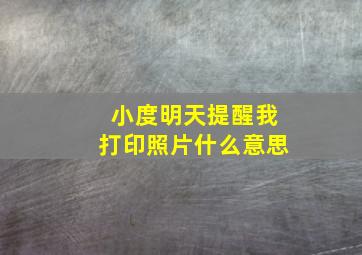 小度明天提醒我打印照片什么意思