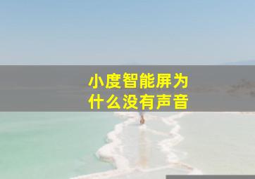 小度智能屏为什么没有声音