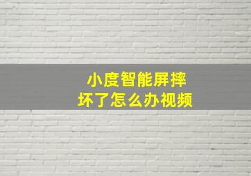 小度智能屏摔坏了怎么办视频