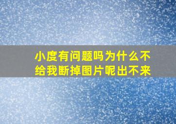 小度有问题吗为什么不给我断掉图片呢出不来