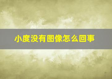 小度没有图像怎么回事