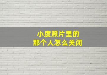 小度照片里的那个人怎么关闭