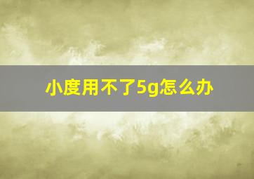 小度用不了5g怎么办