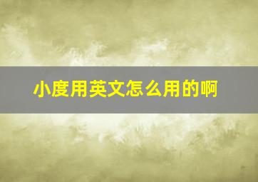 小度用英文怎么用的啊