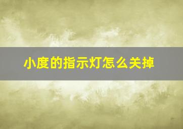 小度的指示灯怎么关掉