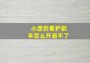 小度的看护助手怎么开启不了