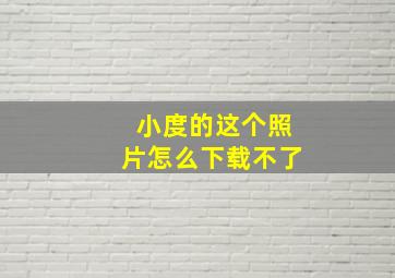 小度的这个照片怎么下载不了