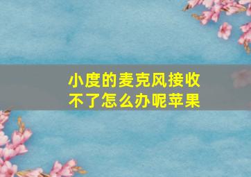 小度的麦克风接收不了怎么办呢苹果