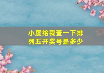 小度给我查一下排列五开奖号是多少