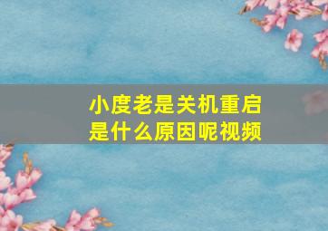 小度老是关机重启是什么原因呢视频