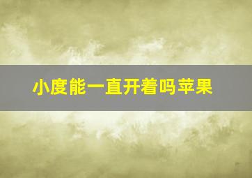 小度能一直开着吗苹果