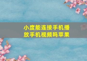 小度能连接手机播放手机视频吗苹果