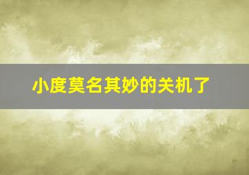 小度莫名其妙的关机了