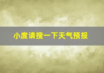 小度请搜一下天气预报