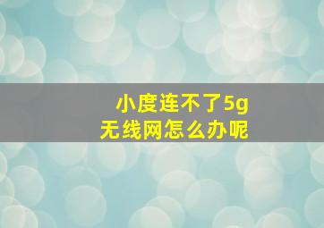 小度连不了5g无线网怎么办呢