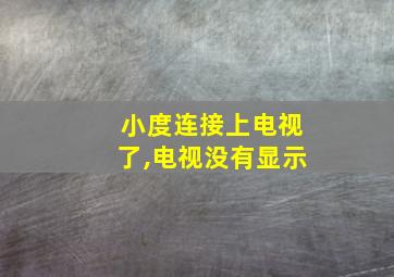 小度连接上电视了,电视没有显示