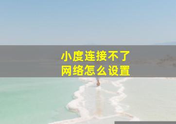 小度连接不了网络怎么设置