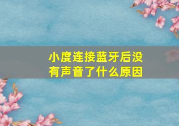 小度连接蓝牙后没有声音了什么原因