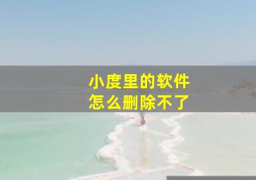 小度里的软件怎么删除不了