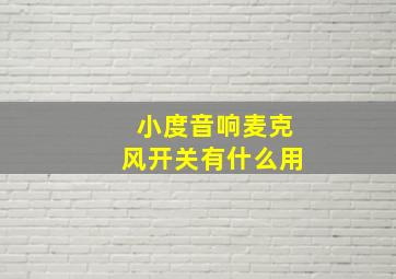 小度音响麦克风开关有什么用