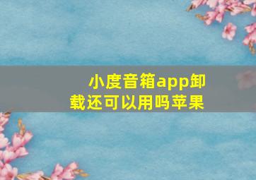 小度音箱app卸载还可以用吗苹果