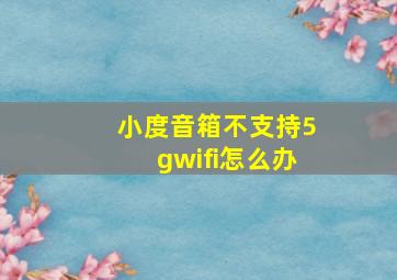 小度音箱不支持5gwifi怎么办