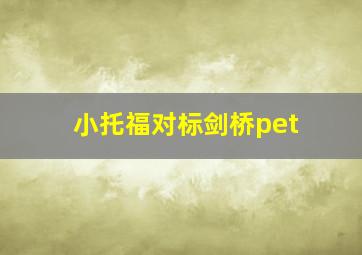 小托福对标剑桥pet