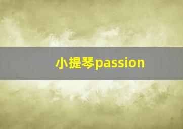 小提琴passion