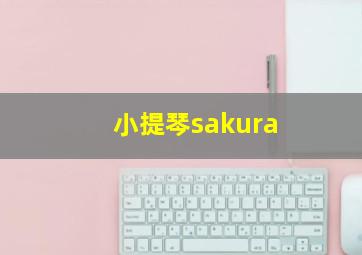 小提琴sakura