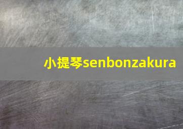 小提琴senbonzakura