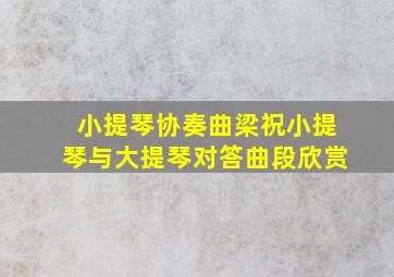 小提琴协奏曲梁祝小提琴与大提琴对答曲段欣赏