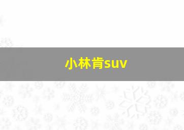 小林肯suv