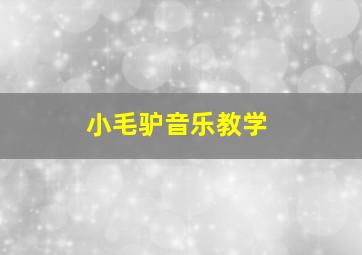 小毛驴音乐教学