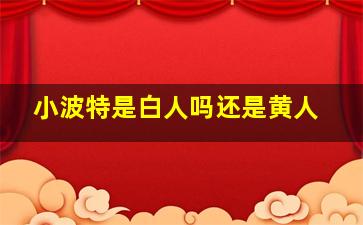 小波特是白人吗还是黄人