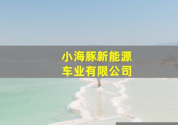 小海豚新能源车业有限公司