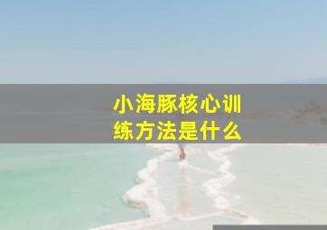 小海豚核心训练方法是什么