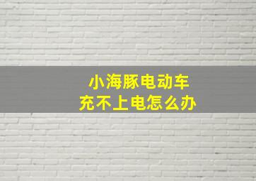 小海豚电动车充不上电怎么办