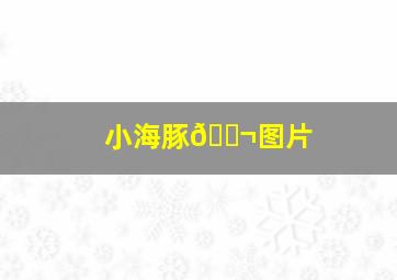 小海豚🐬图片