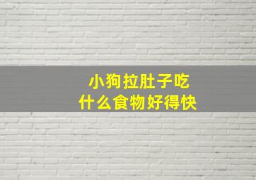 小狗拉肚子吃什么食物好得快