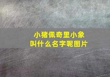 小猪佩奇里小象叫什么名字呢图片