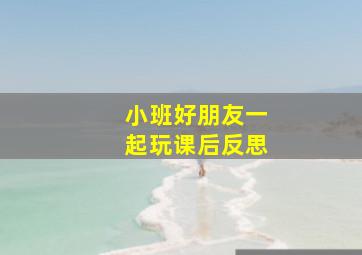 小班好朋友一起玩课后反思