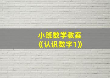 小班数学教案《认识数字1》