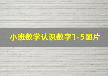 小班数学认识数字1-5图片