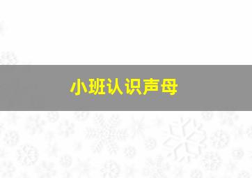 小班认识声母